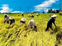 Hội Nông Dân TPHCM tổ chức buổi tọa đàm về nông dân - nông nghiệp - nông thôn TPHCM