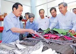 Cần đẩy mạnh hiện đại hóa trong sản xuất nông nghiệp ở Củ Chi  