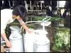 Bình luận: Nông dân lại than trời!