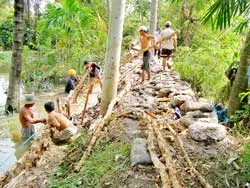 Triều cường đạt đỉnh, phá vỡ hàng loạt bờ bao 