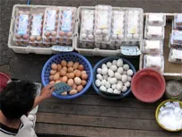 Kết quả thanh, kiểm tra Melamin trong thực phẩm