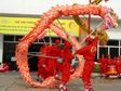 Đại hội múa lân quốc tế TPHCM lần 1 