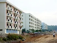 Bình luận: Bình yên cho làng ĐH: Bao giờ ?