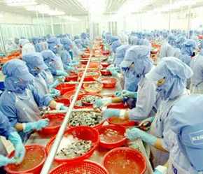 Nông thủy sản xuất khẩu và triển vọng năm 2009