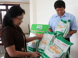 Gạo Mỹ Thành - Thương hiệu gạo đầu tiên đạt tiêu chuẩn Global Gap