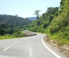 Tuyên tuyền kỷ niệm 50 năm ngày mở đường Trường Sơn