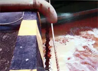 Tỉnh ủy UBNDTỉnh Đồng Nai chưa làm hết trách nhiệm đối với các thiệt hại của nông dân trong vụ Vedan