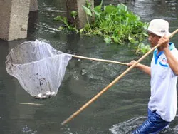 Khu công nghiệp Tân Phú Trung- ngỗn ngang ô nhiễm
