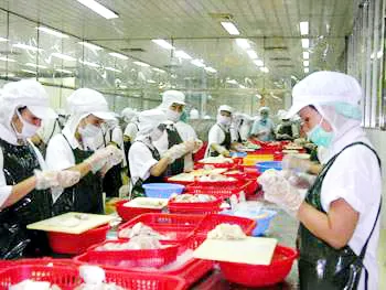 Ngành nông nghiệp chỉ đạo tăng cường quản lý chất lượng hàng thủy sản 
