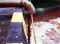 Đoàn công tác Bộ Tài Nguyên và Môi Trường làm việc với công ty Vedan và các tỉnh Đồng Nai...