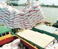 Cần thanh kiểm tra việc điều hành ký kết xuất khẩu gạo