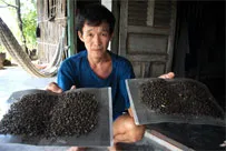 Vấn đề hôm nay: Mùi hôi từ bãi rác Đa Phước, giải quyết từ ngọn, hôi vẫn hoàn hôi