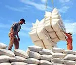 Xuất khẩu gạo cần dân chủ, có điều phối, kiểm soát