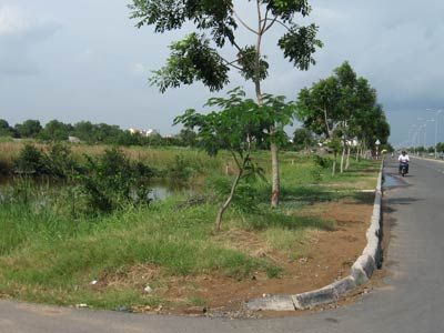 Làm chậm là khổ dân 