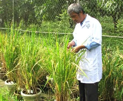 TP Cần tạo chính sách thông thoáng để phát triển khu nông nghiệp công nghệ cao 