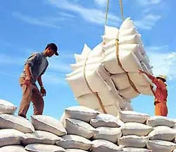 Xuất khẩu gạo, cần lắm một cơ chế điều hành mới