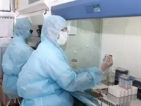 Hội thảo triển khai kế hoạch quốc gia phòng chống đại dịch cúm A H1N1 tại VN 