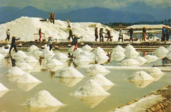Sản xuất muối, diện tích tăng nhưng sản lượng giảm      