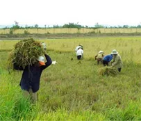 Vấn đề hôm nay: Tìm đầu ra cho nông sản phẩm