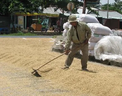 Vấn đề hôm nay: Phát huy vai trò tổ chức Hội Nông dân 