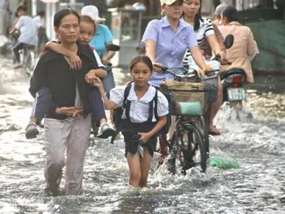 Hội nghị tham vấn thực hiện quy hoạch mạng lưới trường lớp quận 8 