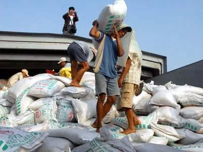 Nhập khẩu trên 3,8 triệu tấn phân bón các lọai, tăng 33% so cùng kỳ 2008            