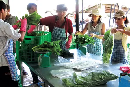 Năm 2009: Sở Khoa học Công nghệ triển khai được 310 đề tài, dự án