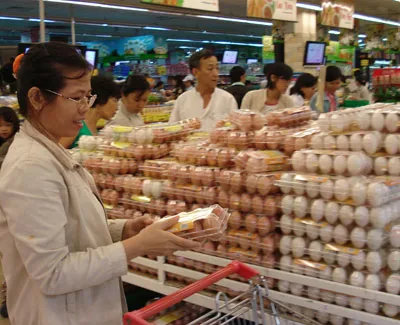 Vấn đề an toàn vệ sinh thực phẩm sản phẩm động vật cho Tết Canh Dần 2010