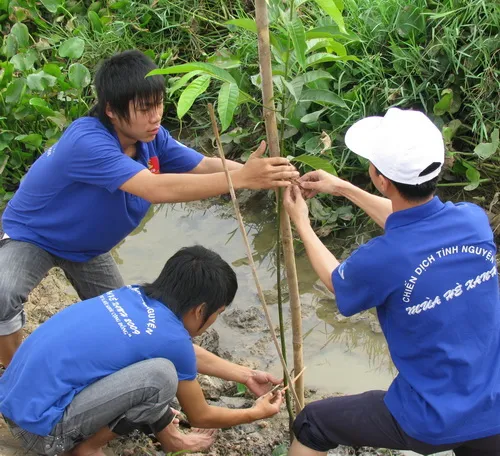 Thanh niên hành động vì môi trường