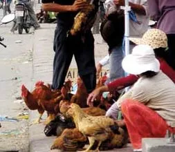 Vấn đề hôm nay: Cần tôi rèn ý thức phòng chống dịch bệnh của người dân!