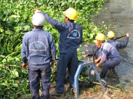 Các sở - ban - ngành phối hợp dập dịch muỗi