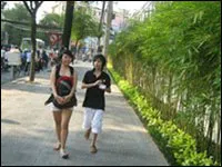 Tọa đàm thảm xanh thành phố trong giai đoạn hiện nay