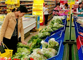 Bảo đảm tốc độ tăng trưởng kinh tế đạt 6,5% trong năm 2010