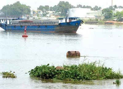 Hướng đến sự phát triển bền vững