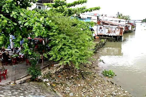 Công tác chống sạt lở bờ sông TP: Cần huy động sức dân