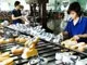 Quy hoạch tổng thể phát triển ngành da - giầy Việt Nam đến năm 2020, tầm nhìn đến 2025
