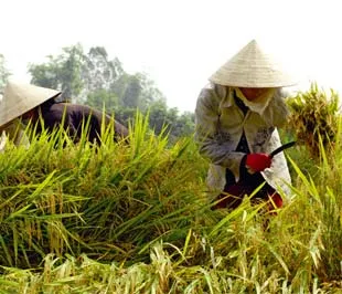 Nhân rộng mô hình điểm trong nông nghiệp br  Bài 1: Điểm là đâu, đâu là điểm?
