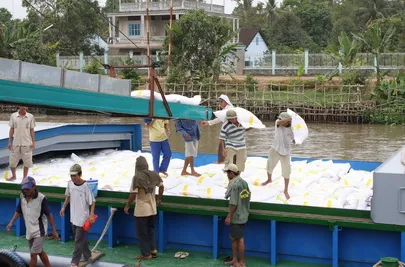 Nhân rộng mô hình điểm trong nông nghiệp br  Bài 2: Khi hợp tác xã vận hành đúng