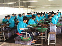 Phóng sự: Trở về miền sáng