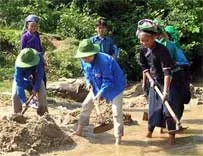 Hoạt động tình nguyện - Môi trường rèn luyện, cống hiến và trưởng thành
