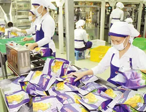 Thị trường nội địa: có tiềm năng nhưng chưa được khai thác hết