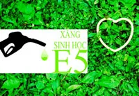 Từ 1/8: xăng sinh học E5 sẽ được bán chính thức