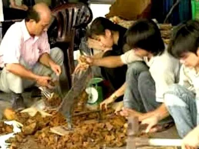 Đăng ký chuẩn GMP: Cơ sở đông dược lực bất tòng tâm