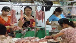VĐHN: Không kiểm soát dịch heo tai xanh- nguy cơ thiếu thịt heo khó tránh khỏi