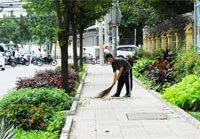 Giám sát thực hiện nếp sống văn minh, mỹ quan đô thị tại quận 3