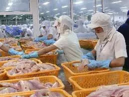Xuất khẩu nông, lâm và thủy sản 8 tháng đạt hơn 12 tỷ USD, tăng hơn 20% so cùng kỳ