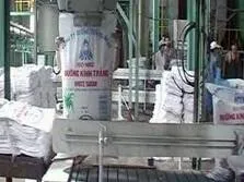 Lượng đường tiêu thụ mùa Trung Thu của các nhà máy đường giảm hơn 50%