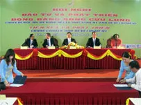 Bình luận: Đánh thức tiềm năng đồng bằng