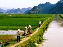 Nhìn lại 1 năm xây dựng nông thôn mới tại TP.HCM