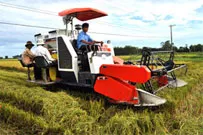 Bình luận: Xây dựng nông thôn mới - Người dân phải được tham gia từ đầu